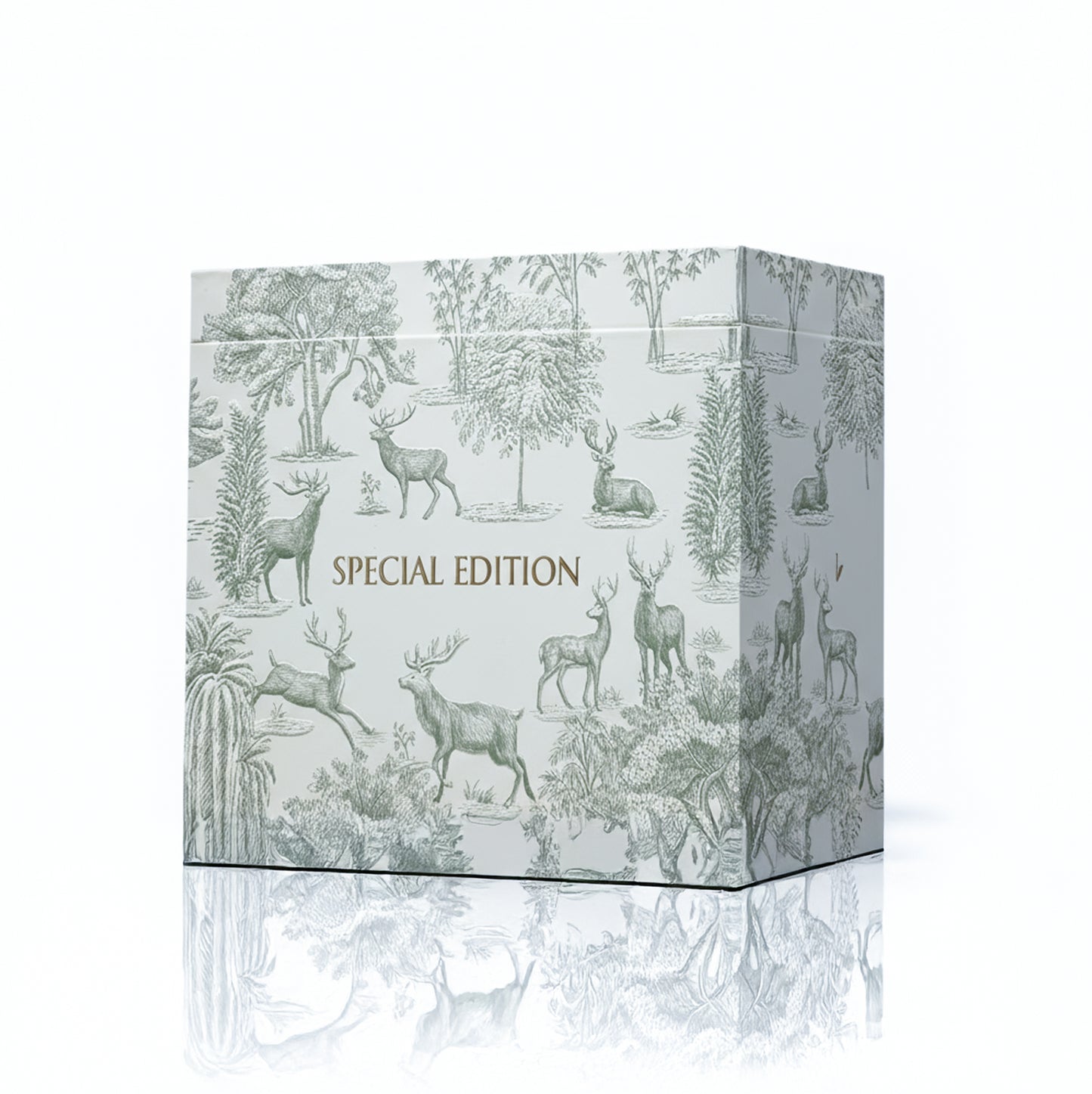 بوكس عشره الطيب